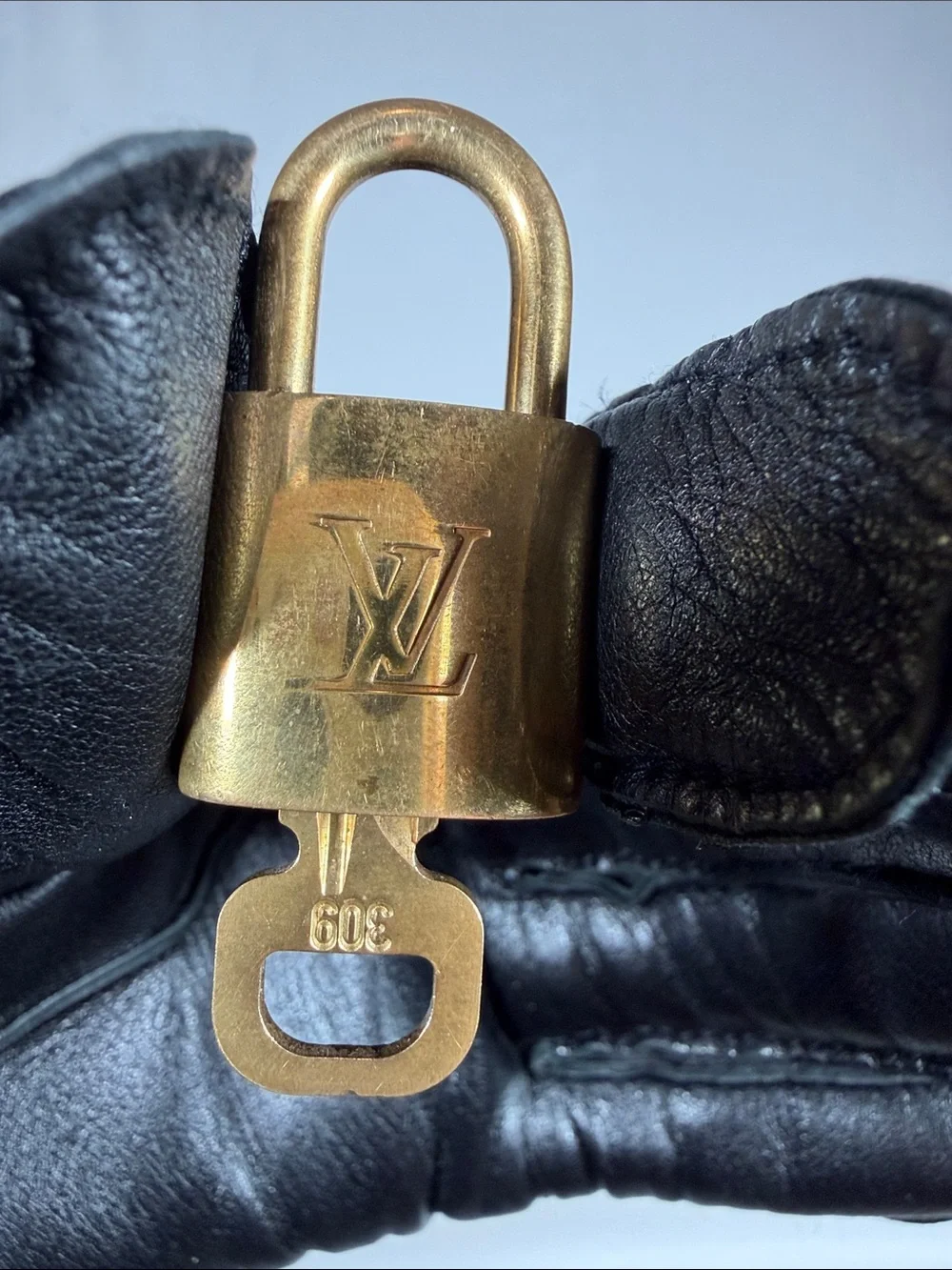 Louis Vuitton authentic louis